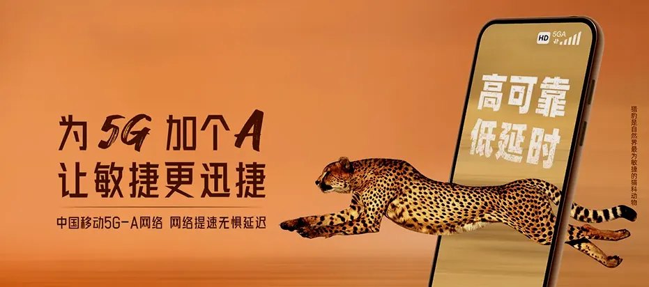 龙子湖区龙子湖区东风街道 移动宽带
